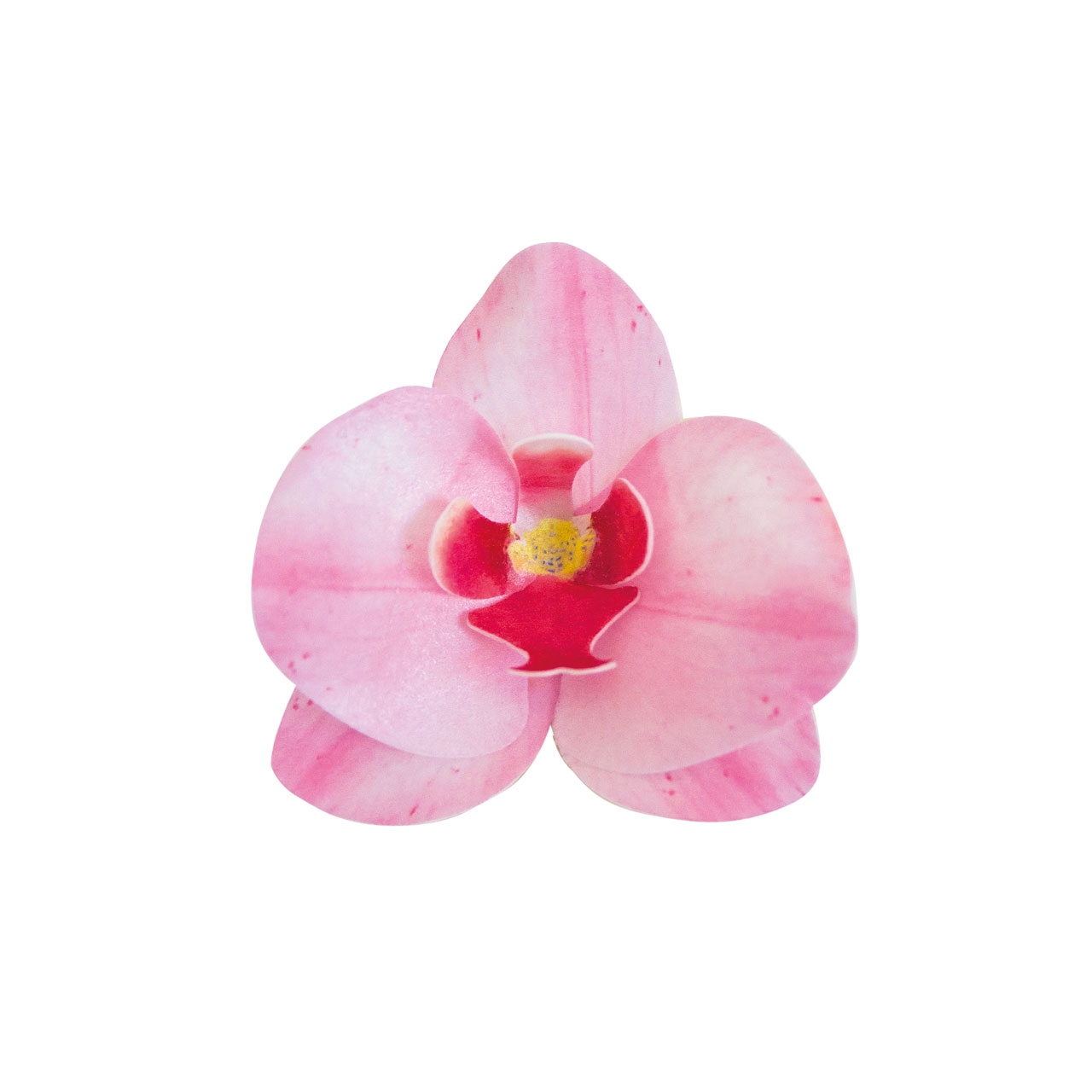 10 x Wafer Orchidee - Rosa - 8,5x7,5 cm (Waferdeko / Oblaten Blume) - Dekora