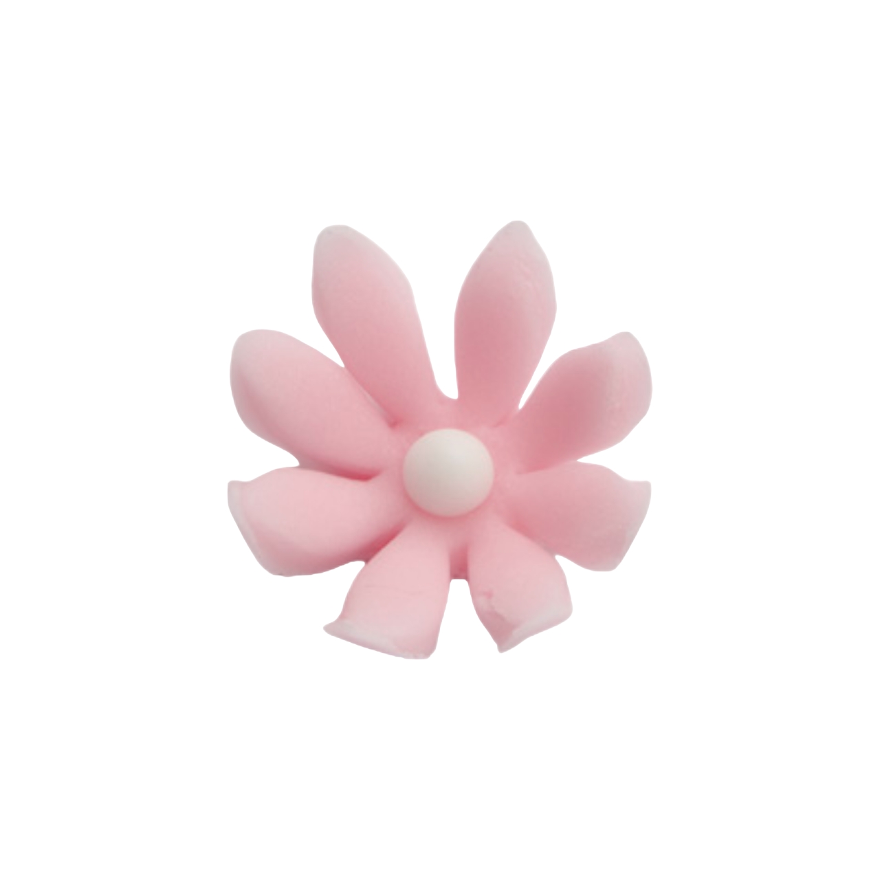Zuckerblume  - Daisy - rosa (100 Stück) - Shantys