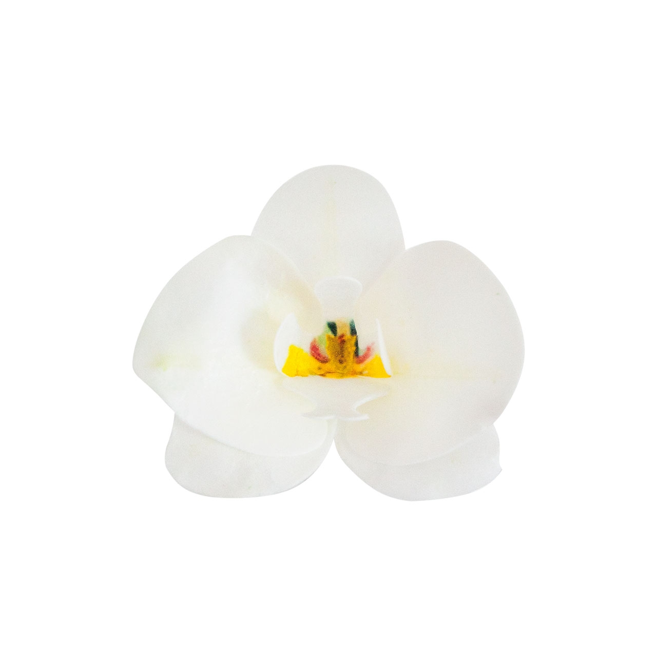 10 x Wafer Orchidee - Weiss - 8,5x7,5 cm (Waferdeko / Oblaten Blume) - Dekora